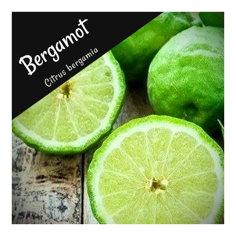 Bergamot Essential Oil