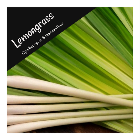 Lemongrass Essential Oil