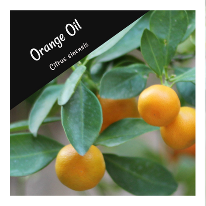 Orange Essential Oil